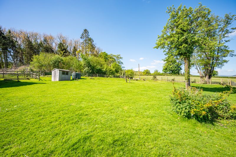 Garden- click for photo gallery